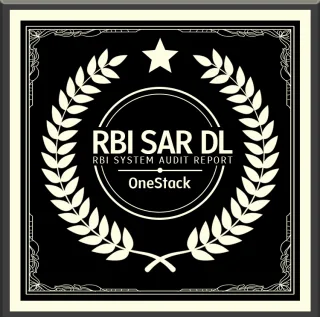 RBI SAR Auditor